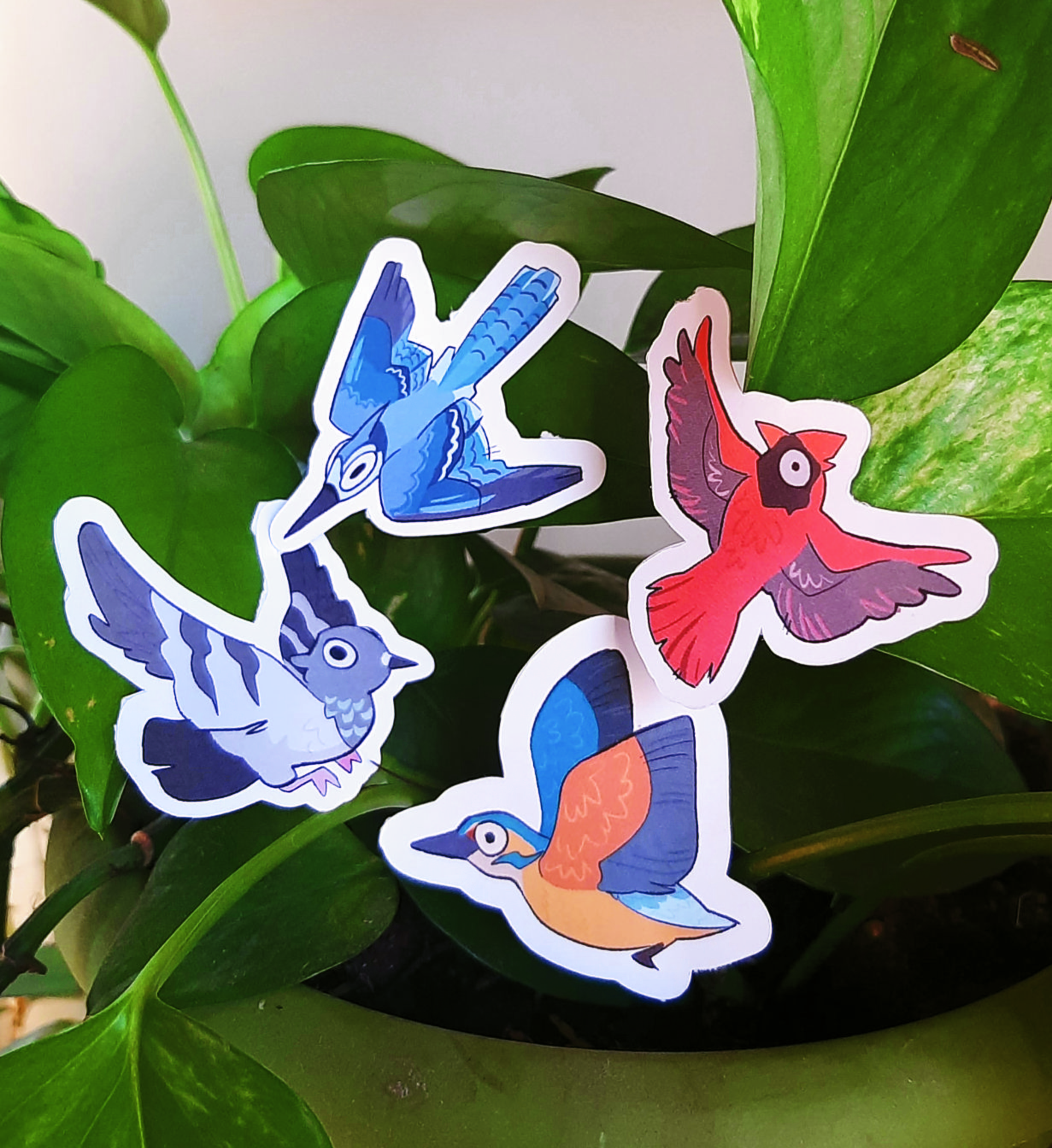Cartoon bird stickers of a pigeon, cardinal, blue jay, and a kingfisher.